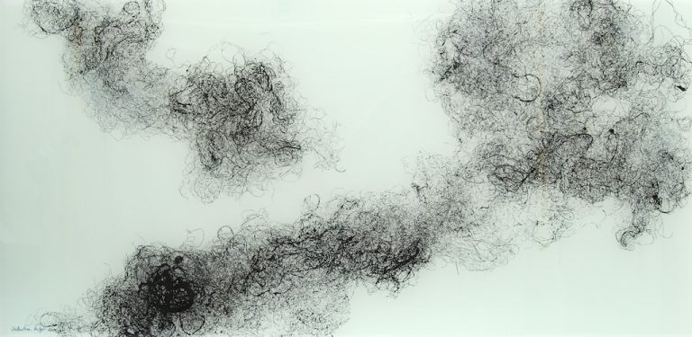 Grafičko raslinje pet