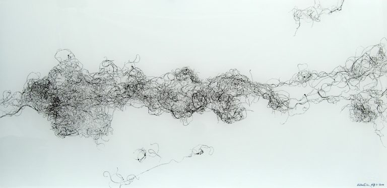 Grafičko raslinje dva