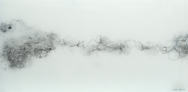 Grafičko raslinje jedan